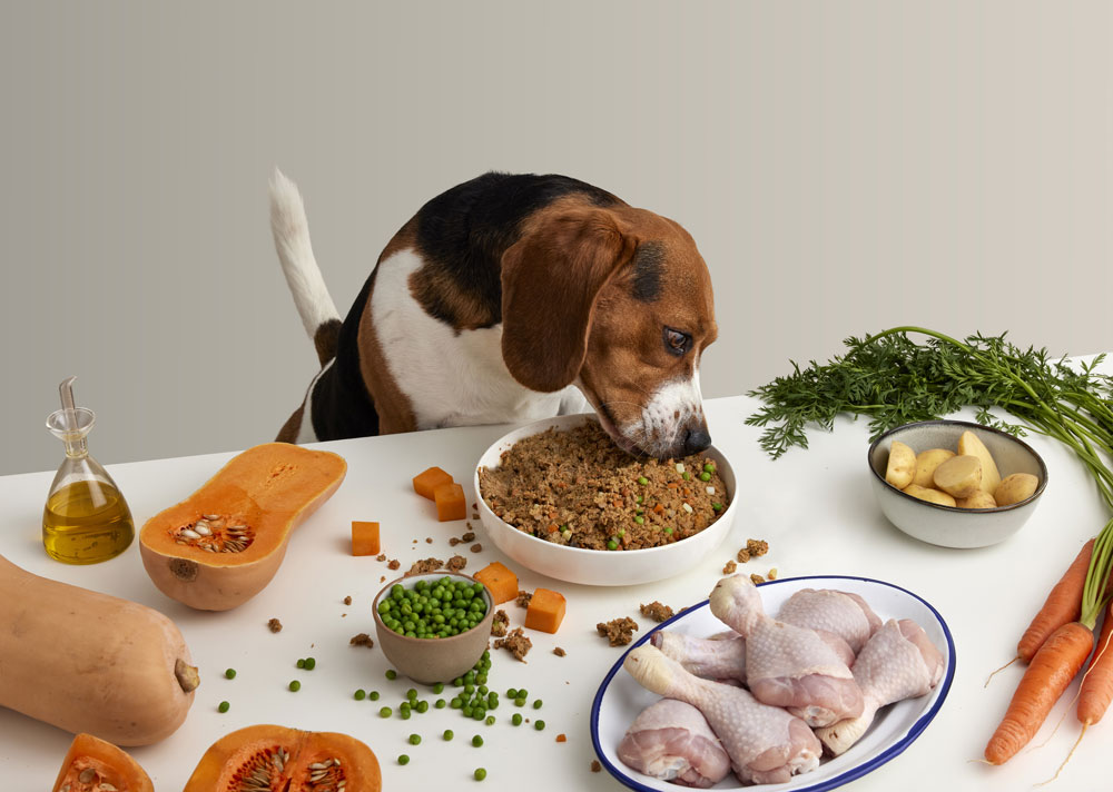menu de pollo